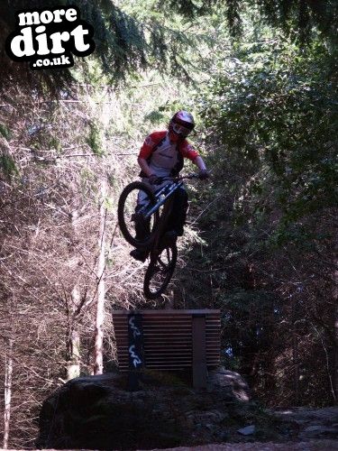 Gawton Mountain Bike Trails