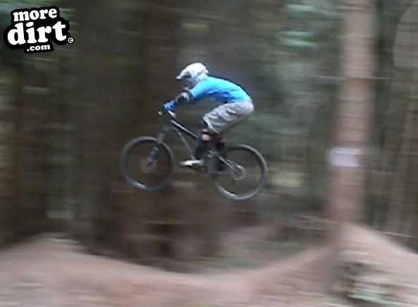 Ribbesford Bike Park