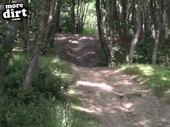 Sandy Lane Woods