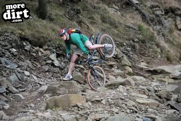 afan forest mtb trails