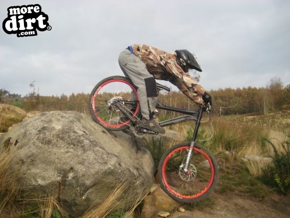 Descent Line Trail - Stainburn Forest