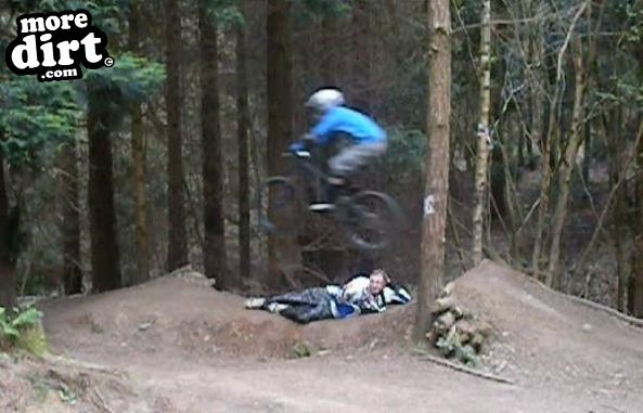 Ribbesford Bike Park