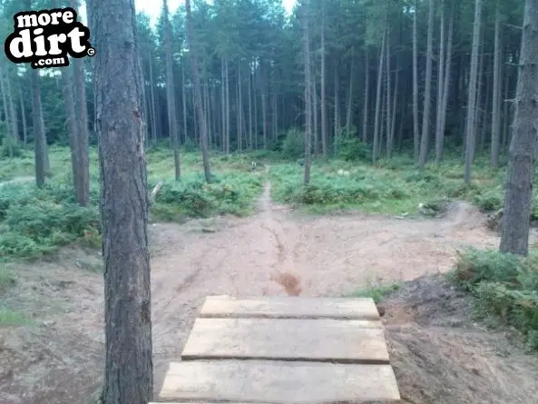 Sherwood Pines Bike Park