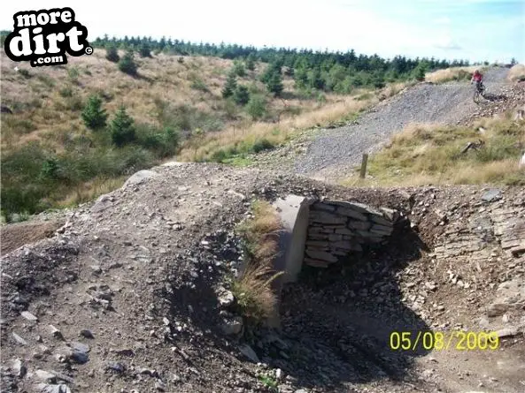 Freeride - Cwmcarn