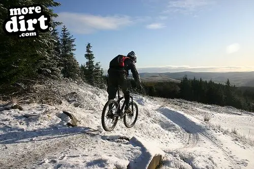 The Red Trail - Glentress