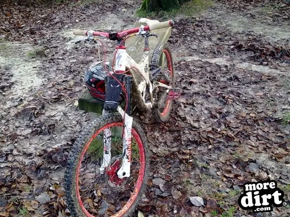 Queen Elizabeth Country Park Mountain Bike Trails