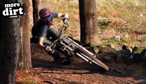 Warren Boulder Trail - Stainburn Forest