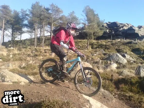 Gisburn Forest Mountain Bike Trails