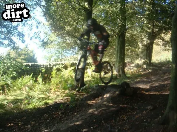 Descent Line Trail - Stainburn Forest