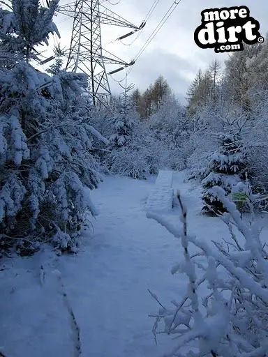 Powerline Trail - Chopwell