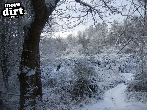 Powerline Trail - Chopwell