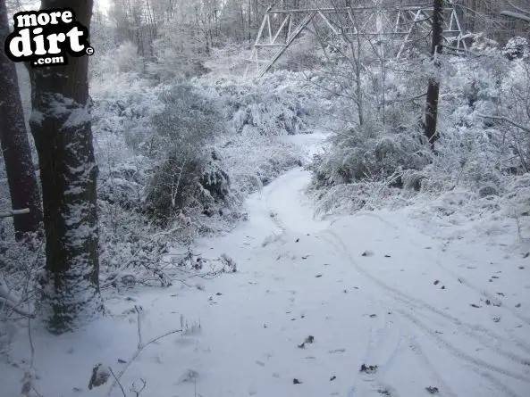 Powerline Trail - Chopwell