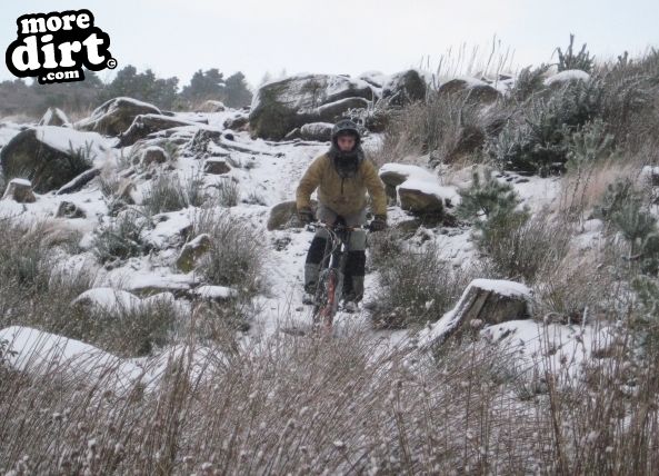 Descent Line Trail - Stainburn Forest