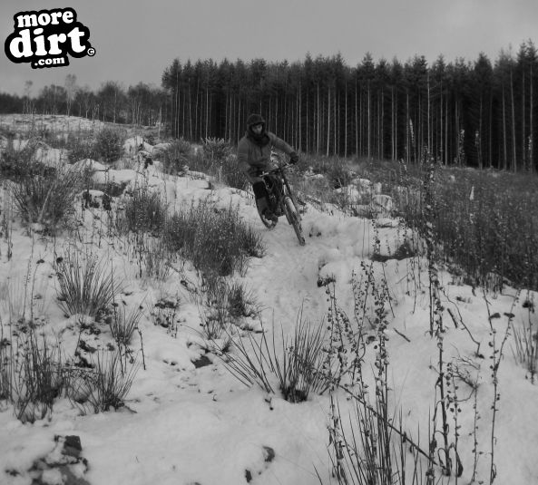 Descent Line Trail - Stainburn Forest