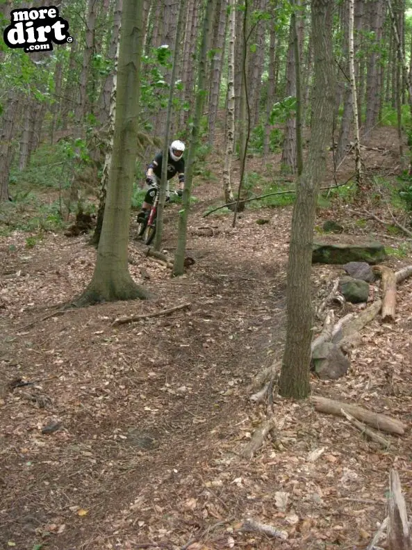 Wharncliffe Woods - DH Trails