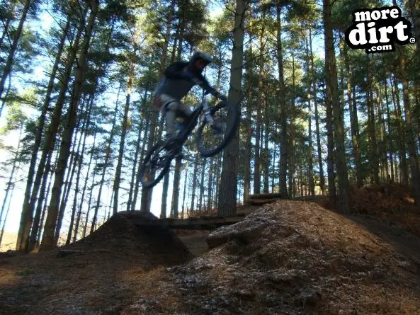 Kinver Freeride Park