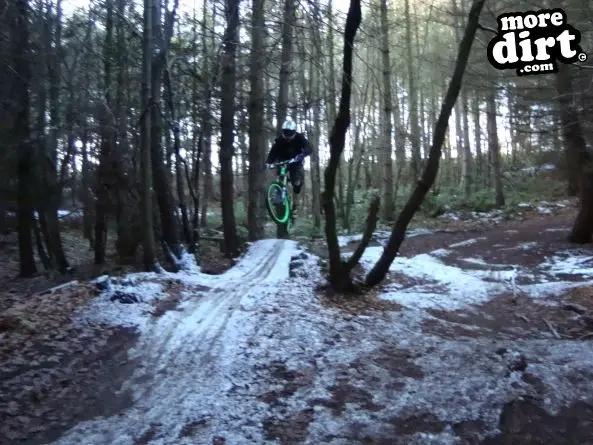 Ribbesford Bike Park