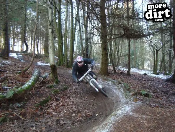 Ribbesford Bike Park