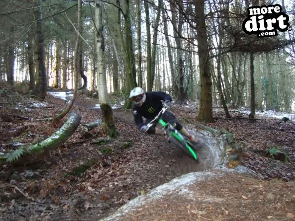 Ribbesford Bike Park