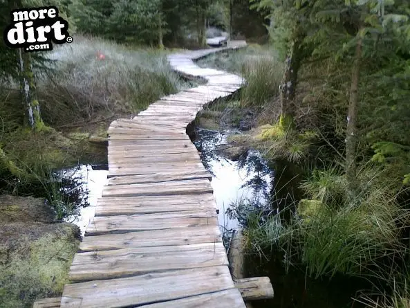 Gisburn Forest Mountain Bike Trails