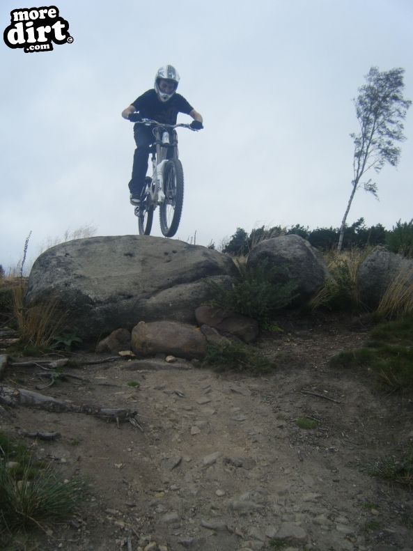 Descent Line Trail - Stainburn Forest