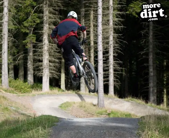 Glentress Mountain Bike Trail Centre