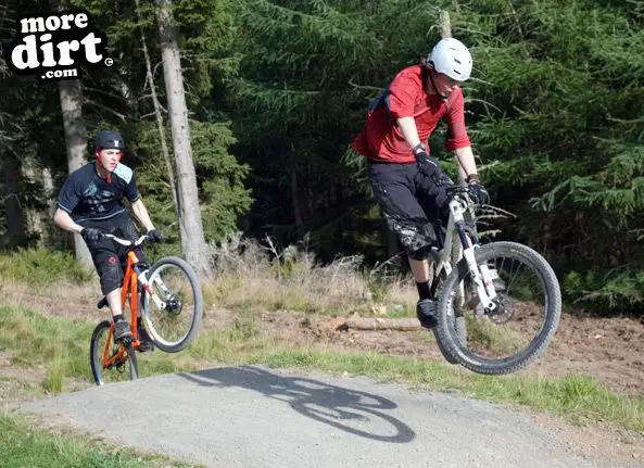 Freeride Park - Glentress