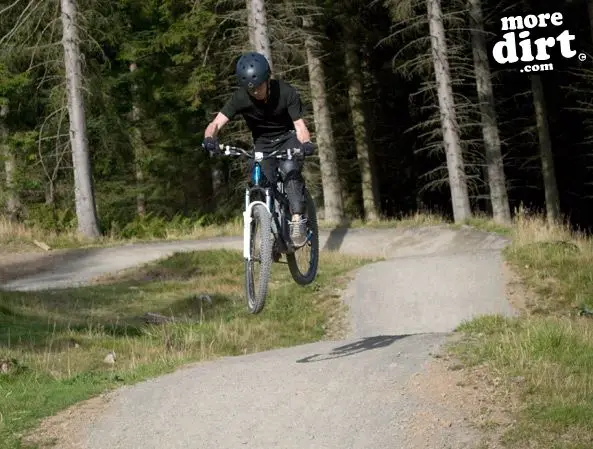 Freeride Park - Glentress