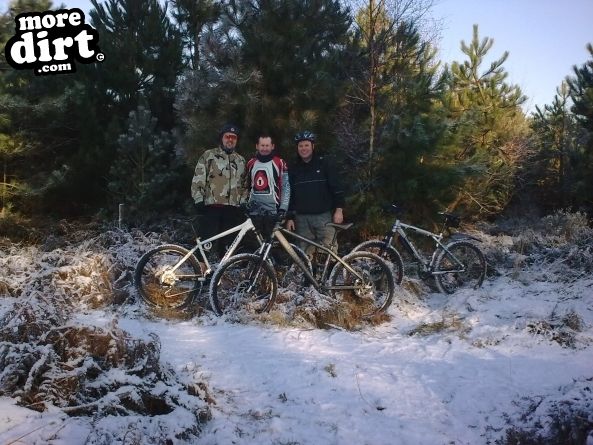 Follow the Dog Trail - Cannock Chase