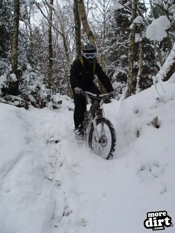 Wharncliffe Woods - DH Trails