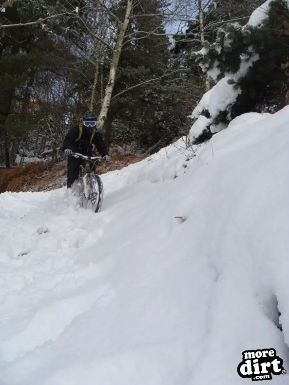 Wharncliffe Woods - DH Trails