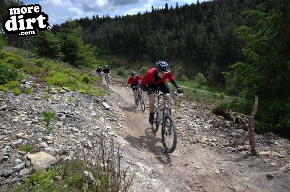 Dalby Forest Red Trail