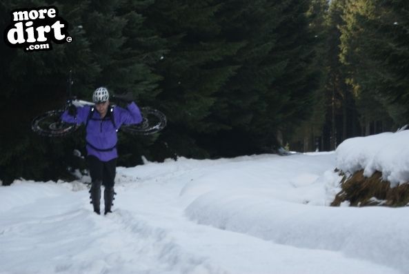 Deadwater Trail - Kielder Forest