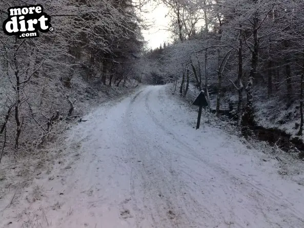 Penhydd Trail -  Afan Forest