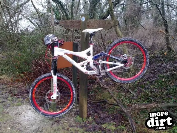 Queen Elizabeth Country Park Mountain Bike Trails