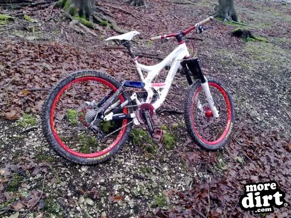 Queen Elizabeth Country Park Mountain Bike Trails