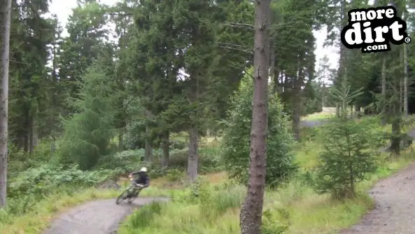 Freeride Park - Glentress