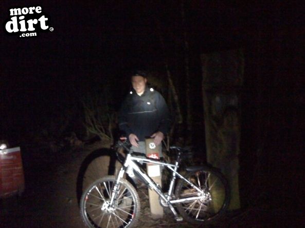 Follow the Dog Trail - Cannock Chase