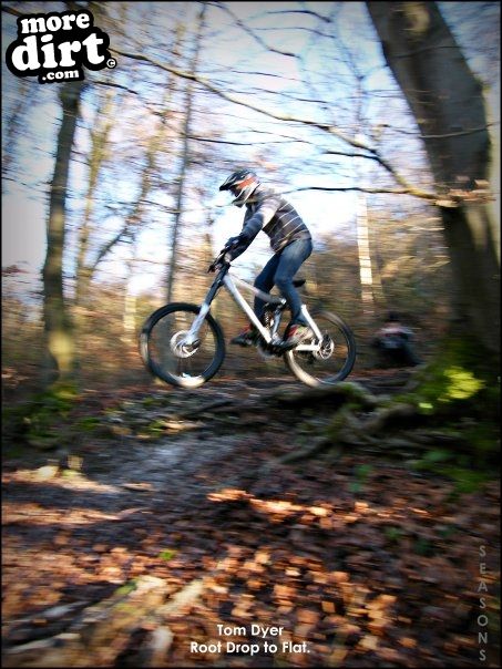 Queen Elizabeth Country Park Mountain Bike Trails