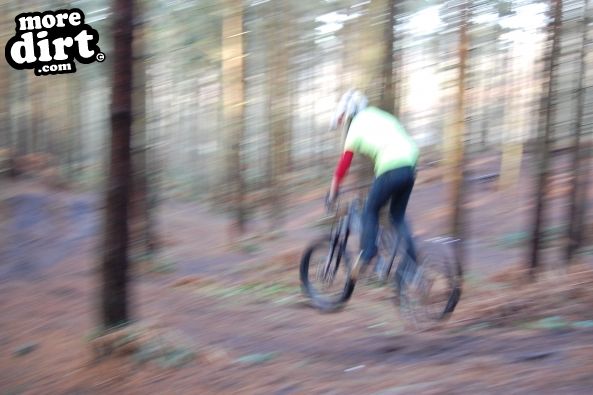 Kinver Freeride Park