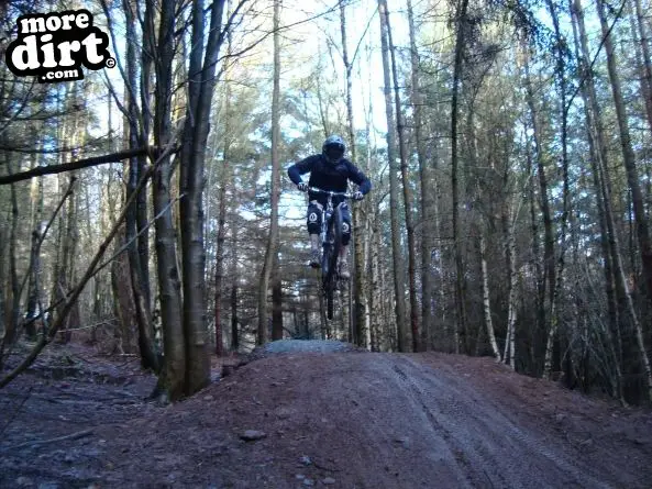 Ribbesford Bike Park