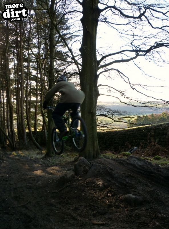 Descent Line Trail - Stainburn Forest