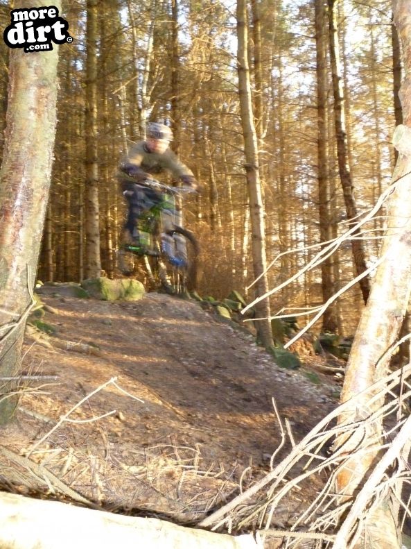 Warren Boulder Trail - Stainburn Forest