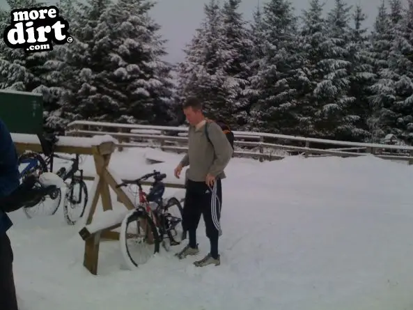 Blue Trail - Coed Llandegla Forest