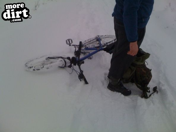 Blue Trail - Coed Llandegla Forest