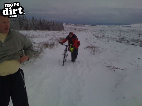 Blue Trail - Coed Llandegla Forest