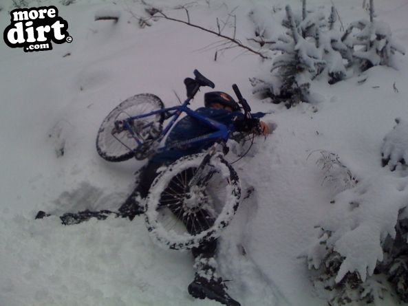 Blue Trail - Coed Llandegla Forest