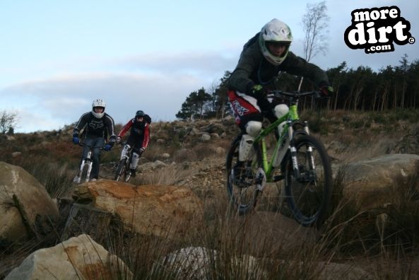 Descent Line Trail - Stainburn Forest