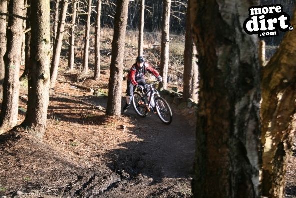 Descent Line Trail - Stainburn Forest