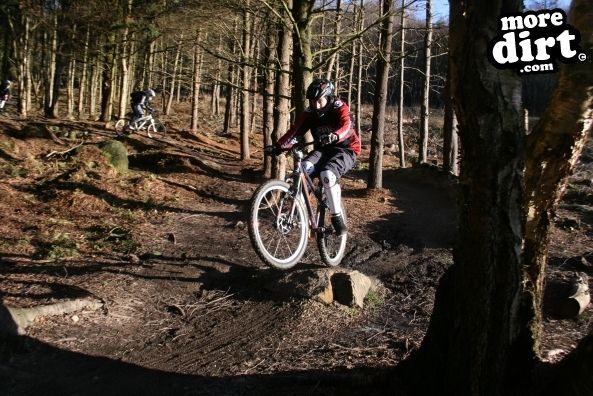 Descent Line Trail - Stainburn Forest